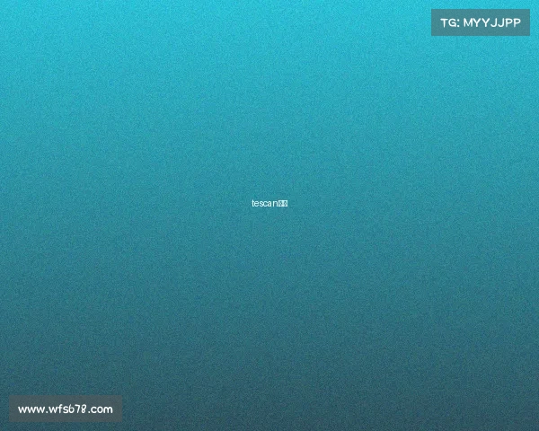 tescan电竞 tescan电竞